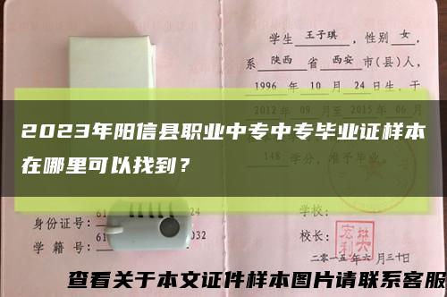 2023年阳信县职业中专中专毕业证样本在哪里可以找到？缩略图