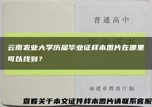 云南农业大学历届毕业证样本图片在哪里可以找到？缩略图