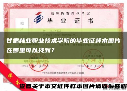 甘肃林业职业技术学院的毕业证样本图片在哪里可以找到？缩略图