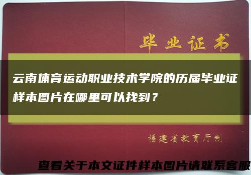 云南体育运动职业技术学院的历届毕业证样本图片在哪里可以找到？缩略图