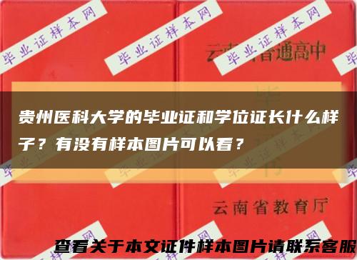 贵州医科大学的毕业证和学位证长什么样子？有没有样本图片可以看？缩略图