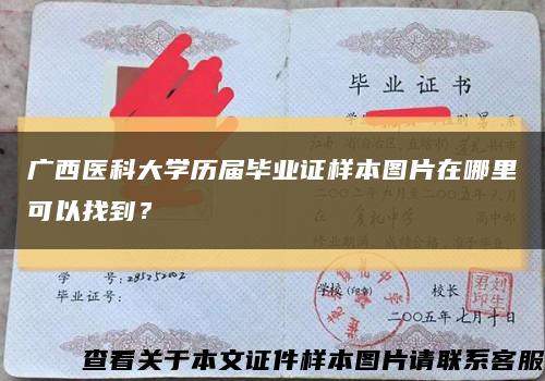 广西医科大学历届毕业证样本图片在哪里可以找到？缩略图