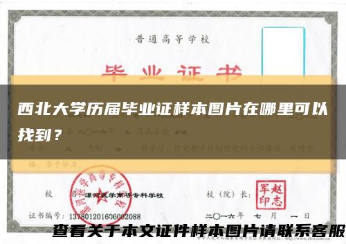 西北大学历届毕业证样本图片在哪里可以找到？缩略图