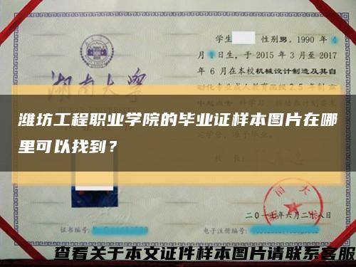潍坊工程职业学院的毕业证样本图片在哪里可以找到？缩略图