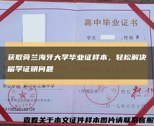 获取荷兰海牙大学毕业证样本，轻松解决留学证明问题缩略图