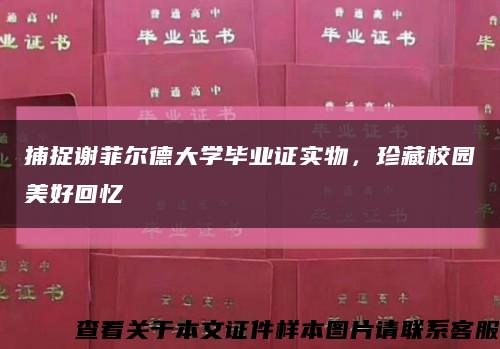 捕捉谢菲尔德大学毕业证实物，珍藏校园美好回忆缩略图