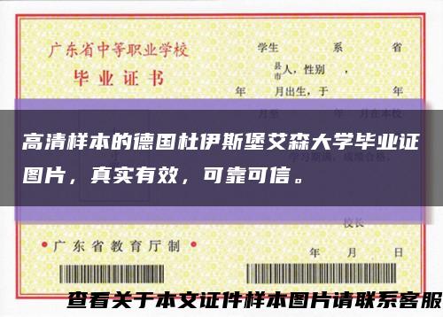 高清样本的德国杜伊斯堡艾森大学毕业证图片，真实有效，可靠可信。缩略图