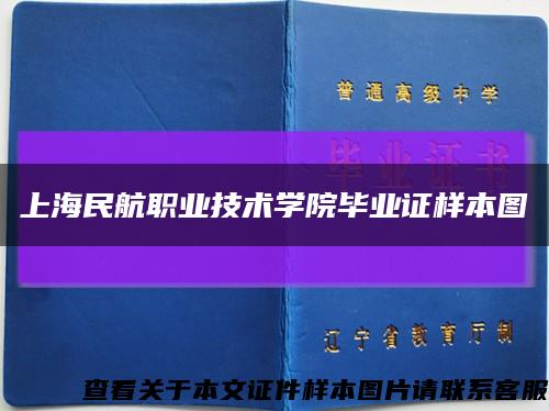 上海民航职业技术学院毕业证样本图缩略图