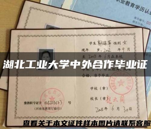 湖北工业大学中外合作毕业证缩略图
