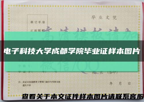 电子科技大学成都学院毕业证样本图片缩略图