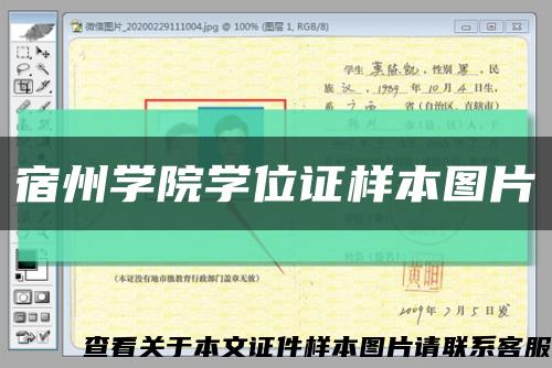 宿州学院学位证样本图片缩略图