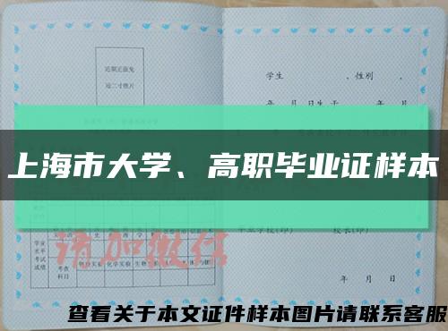 上海市大学、高职毕业证样本缩略图