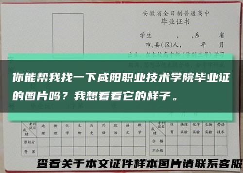 你能帮我找一下咸阳职业技术学院毕业证的图片吗？我想看看它的样子。缩略图