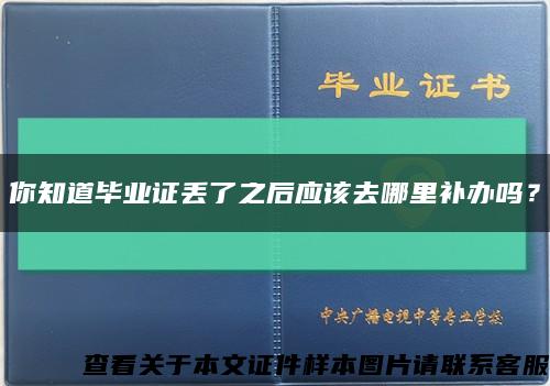 你知道毕业证丢了之后应该去哪里补办吗？缩略图