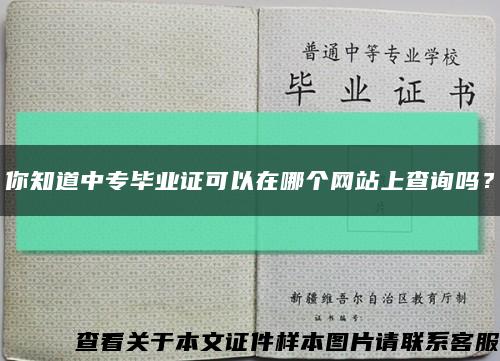 你知道中专毕业证可以在哪个网站上查询吗？缩略图