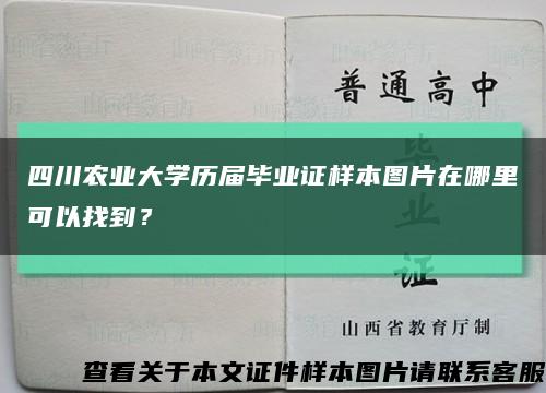 四川农业大学历届毕业证样本图片在哪里可以找到？缩略图