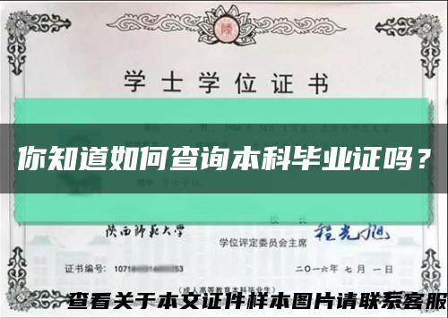 你知道如何查询本科毕业证吗？缩略图
