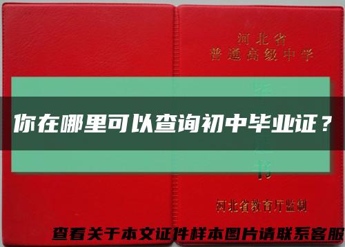 你在哪里可以查询初中毕业证？缩略图