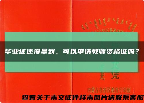 毕业证还没拿到，可以申请教师资格证吗？缩略图
