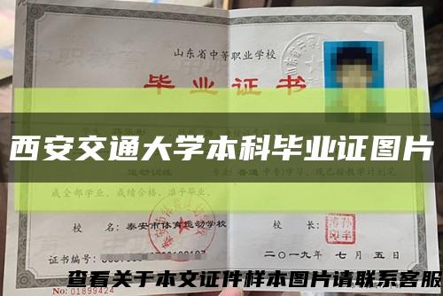 西安交通大学本科毕业证图片缩略图