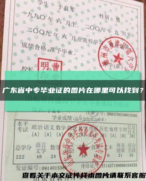 广东省中专毕业证的图片在哪里可以找到？缩略图