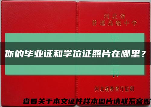 你的毕业证和学位证照片在哪里？缩略图