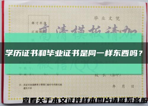 学历证书和毕业证书是同一样东西吗？缩略图
