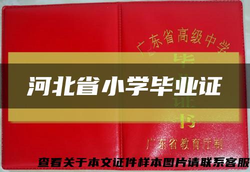 河北省小学毕业证缩略图