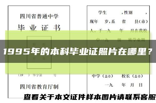 1995年的本科毕业证照片在哪里？缩略图