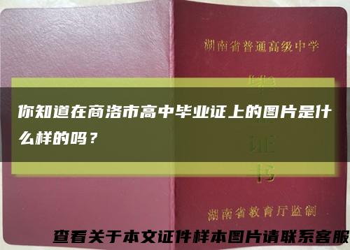 你知道在商洛市高中毕业证上的图片是什么样的吗？缩略图