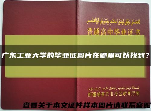 广东工业大学的毕业证图片在哪里可以找到？缩略图