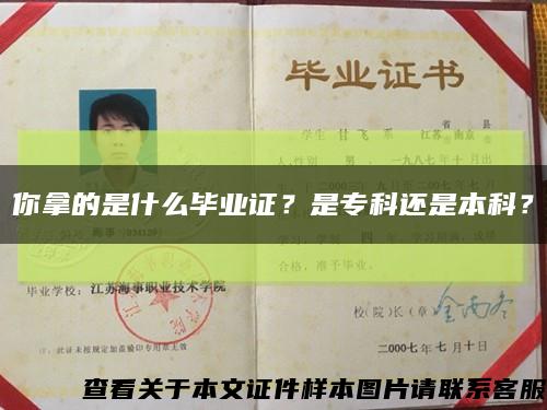 你拿的是什么毕业证？是专科还是本科？缩略图