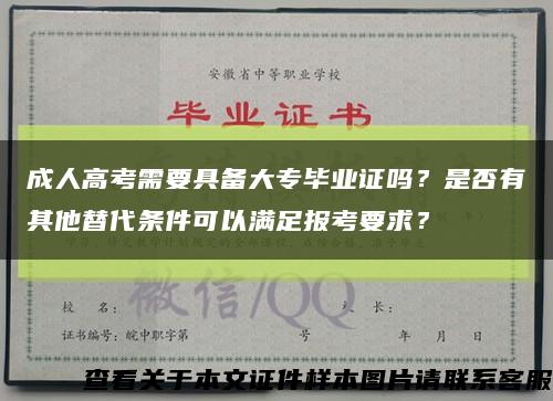 成人高考需要具备大专毕业证吗？是否有其他替代条件可以满足报考要求？缩略图