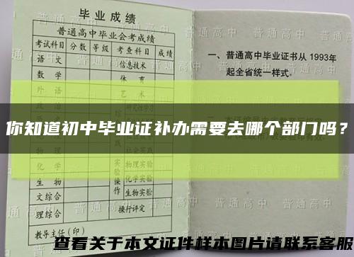 你知道初中毕业证补办需要去哪个部门吗？缩略图