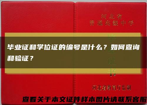 毕业证和学位证的编号是什么？如何查询和验证？缩略图