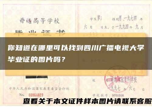 你知道在哪里可以找到四川广播电视大学毕业证的图片吗？缩略图
