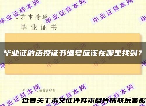 毕业证的函授证书编号应该在哪里找到？缩略图