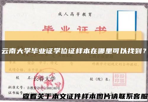 云南大学毕业证学位证样本在哪里可以找到？缩略图
