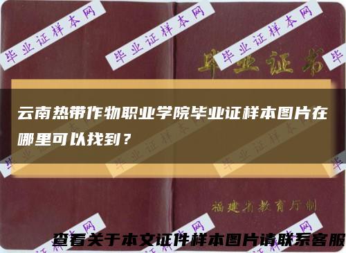 云南热带作物职业学院毕业证样本图片在哪里可以找到？缩略图