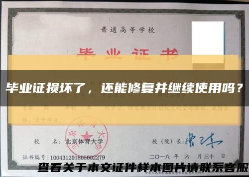 毕业证损坏了，还能修复并继续使用吗？缩略图