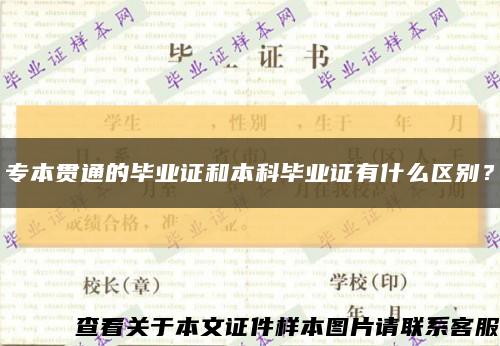 专本贯通的毕业证和本科毕业证有什么区别？缩略图