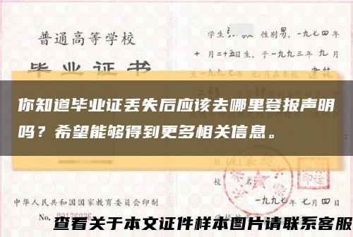 你知道毕业证丢失后应该去哪里登报声明吗？希望能够得到更多相关信息。缩略图