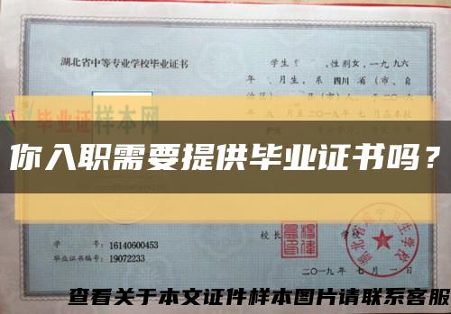 你入职需要提供毕业证书吗？缩略图