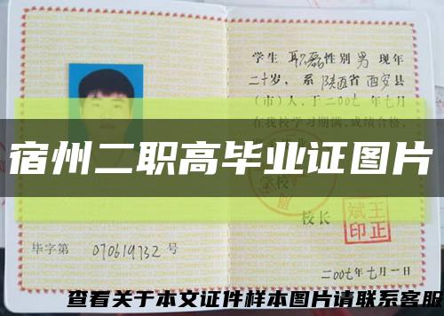 宿州二职高毕业证图片缩略图