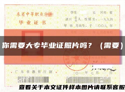 你需要大专毕业证照片吗？（需要）缩略图