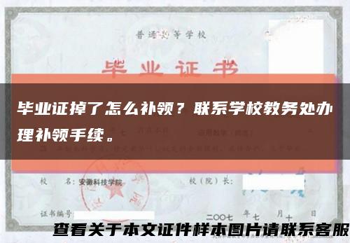 毕业证掉了怎么补领？联系学校教务处办理补领手续。缩略图