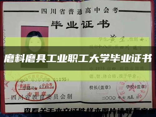 磨料磨具工业职工大学毕业证书缩略图