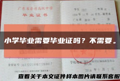 小学毕业需要毕业证吗？不需要。缩略图