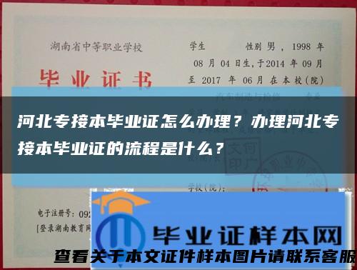 河北专接本毕业证怎么办理？办理河北专接本毕业证的流程是什么？缩略图