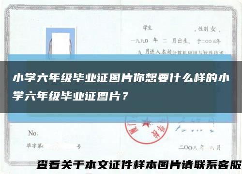 小学六年级毕业证图片你想要什么样的小学六年级毕业证图片？缩略图